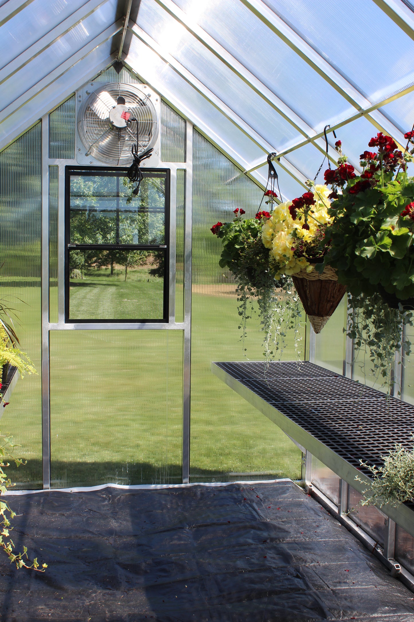 6'x 8' Aluminum Garden Greenhouse Kit